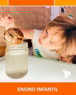 ens. infantil