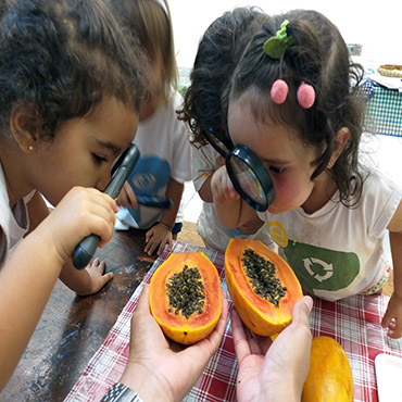 alimentação-educação-infantil